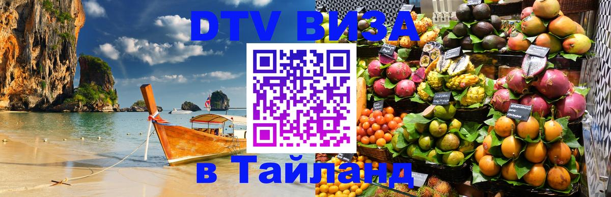Сколько стоит DTV виза — актуальные цены, оформление даже без документов - Сан-Сальвадор  19.11.2025 